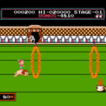 Duck Hunt